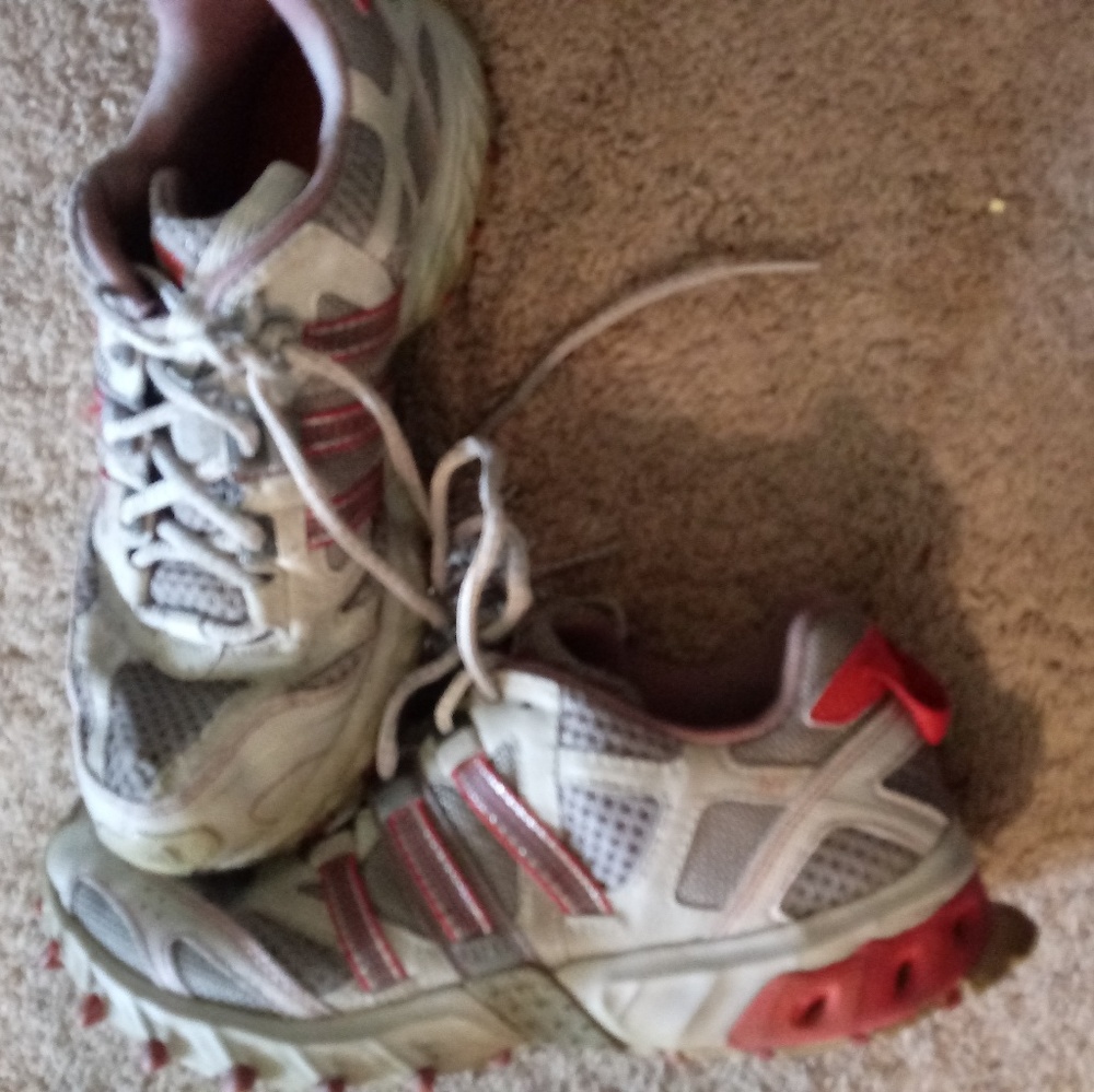 Woman's ADIDAS sneakers